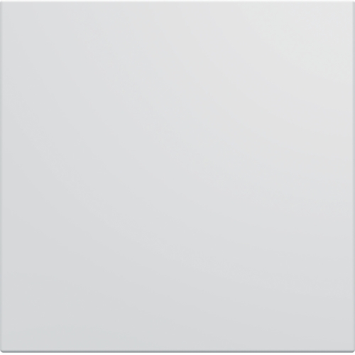 ENJOLIVEUR INTERRUPTEUR GALLERY 2 MODULES PURE