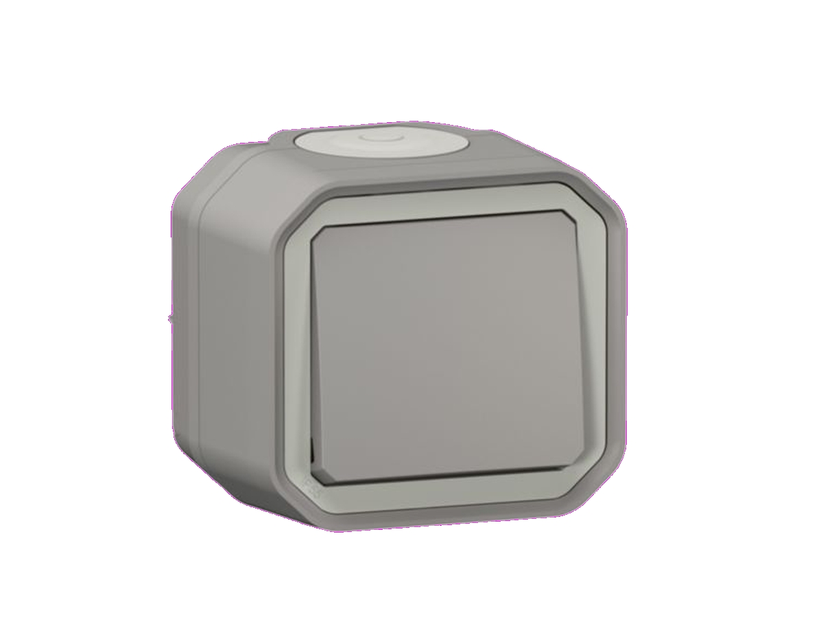 INTERRUPTEUR OU VA-ET-VIENT 10AX 250V PLEXO COMPLET SAILLIE GRIS