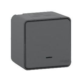 POUSSOIR LUMINEUX LED ETANCHE GRIS SAILLIE MUREVA STYL