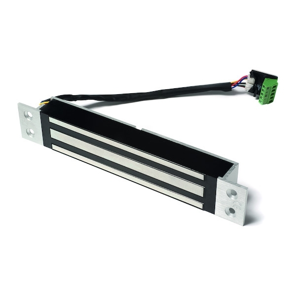 VENTOUSE 300KG ENCASTREE 38 MM - SIGNAL NO.NF - 12/24V DC - NFS 61-937