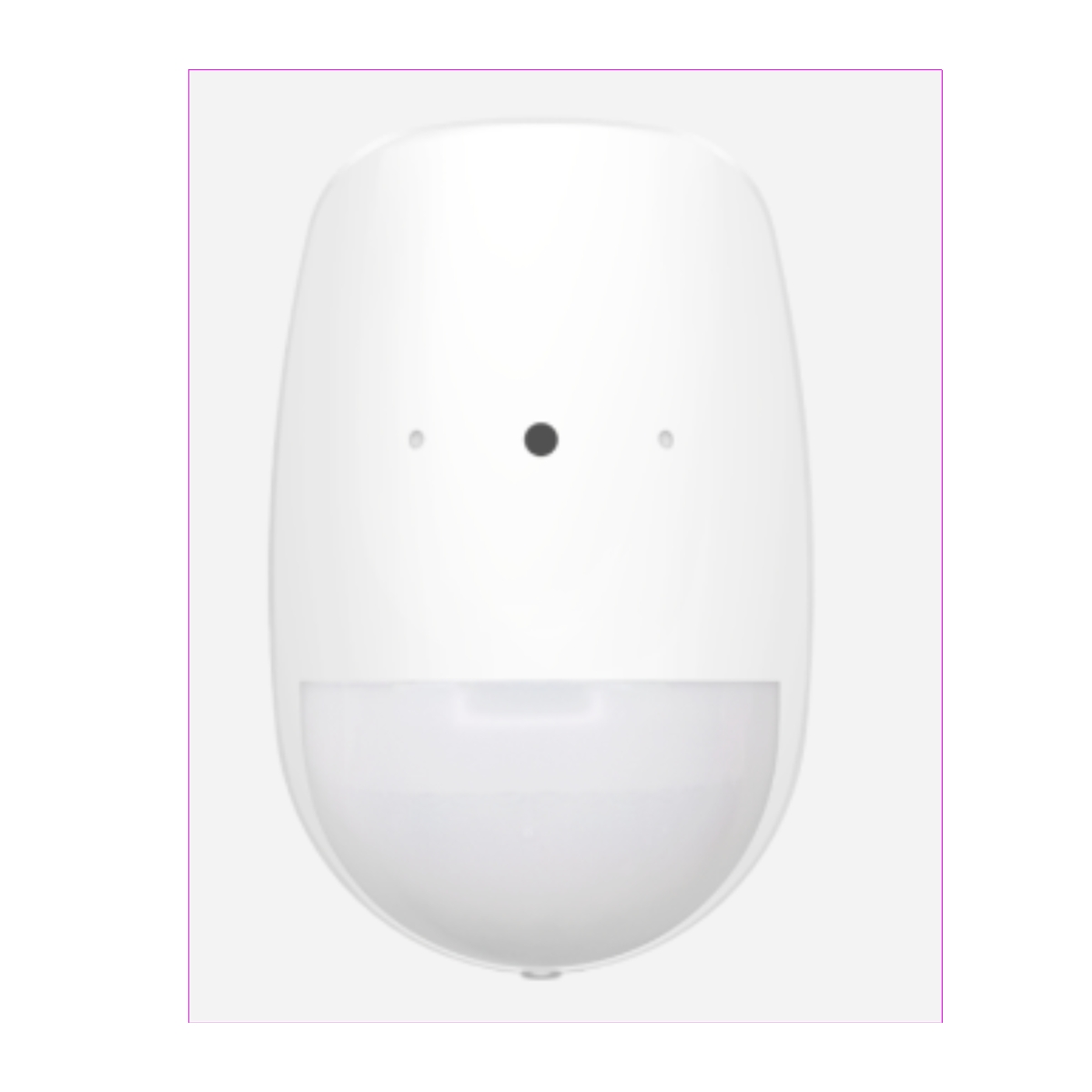 DETECTEUR BRIS DE GLACE, 868MHZ, 30KG PET, CR123A × 2 INCLUT, EN