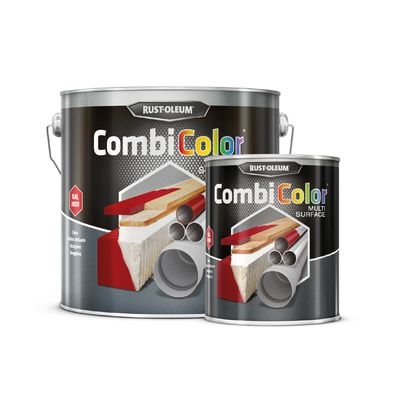 PEINTURE COMBICOLOR
