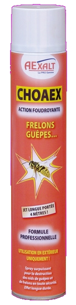 BOMBE INSECTICIDE CHOAEX