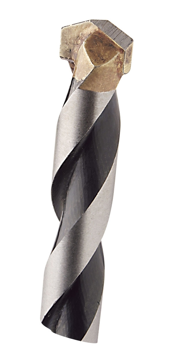 FORET UNIVERSEL RÉF 215