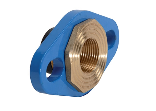 BRIDE DN20/ 3:4 FEM. ADAPAT BOITIER REXUO DN25