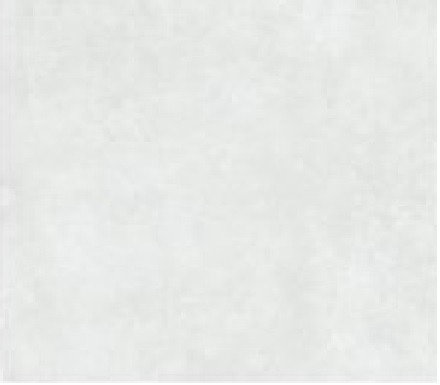 GRÈS CÉRAME DOMUS BLANCO