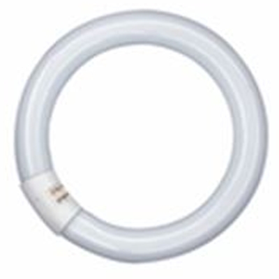 581143 TUBE FLUORESCENT CIRCULAIRE Ø30MM CULOT G10Q 32W/840