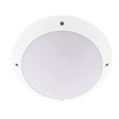 MINI TIMY SENSOR 12W 1000LM 4000K IP66 BLANC