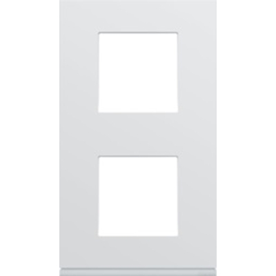 PLAQUE GALLERY PLASTIQUE INJECTE 2 POSTES VERTICALE 71MM PURE