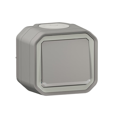 INTERRUPTEUR OU VA-ET-VIENT TEMOIN 10AX 250V PLEXO COMPLET SAILLIE GRIS