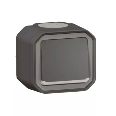 COMMANDE DOUBLE INTERRUPTEUR OU POUSSOIR PLEXO COMPLET SAILLIE ANTHRACITE