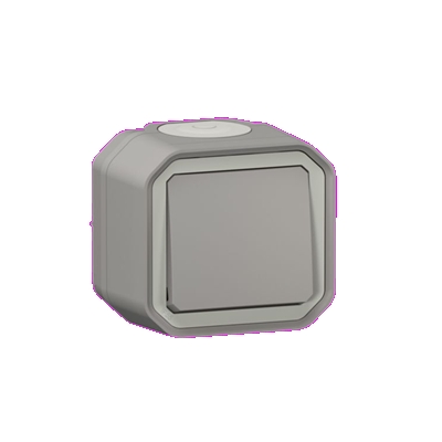 INTERRUPTEUR OU VA-ET-VIENT 10AX 250V PLEXO COMPLET SAILLIE GRIS