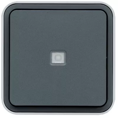 POUSSOIR 1O/1F A VOYANT SAILLIE CUBYKO