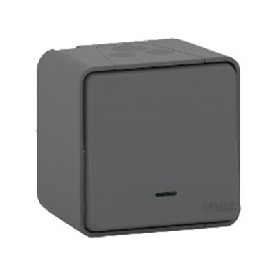 POUSSOIR LUMINEUX LED ETANCHE GRIS SAILLIE MUREVA STYL