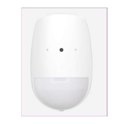 DETECTEUR BRIS DE GLACE, 868MHZ, 30KG PET, CR123A × 2 INCLUT, EN