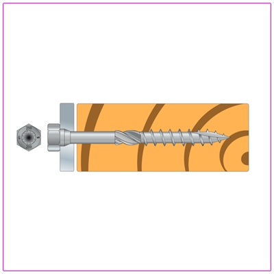 VIS CONNECTEUR ACIER SUR BOIS TH SSH10.0X40MM X50PCES
