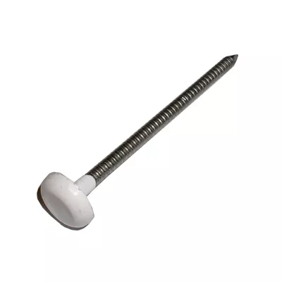 POINTES INOX TÊTE PVC BOÎTE 100 PIÈCES