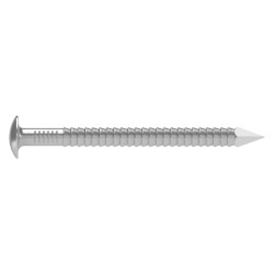 POINTE ANNELEE INOX  A4 2.00X40MM TETE SURMOULEE BLANCHE BTE 250PCES