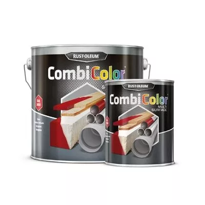 PEINTURE COMBICOLOR