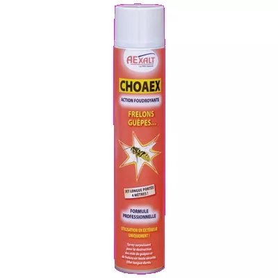 BOMBE INSECTICIDE CHOAEX