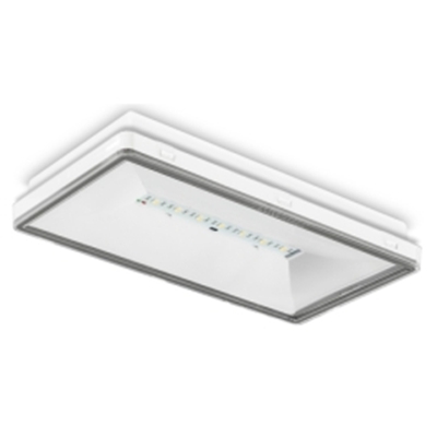 BLOC BI-FONCTION BAES+BAEH - COMPATIBILITE UNIVERSELLE - BAT LITHIUM - IP44