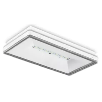 BLOC BI-FONCTION BAES+BAEH - COMPATIBILITE UNIVERSELLE - BAT LITHIUM - IP44