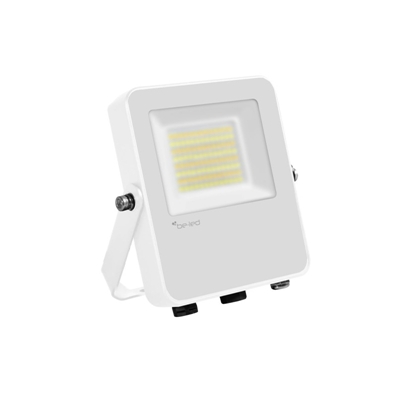 FLEXO 20W-30W-50W-3CCT-1M CABLE-BLANC