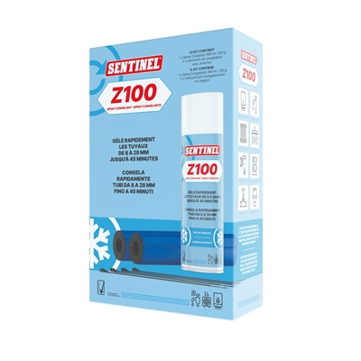 CONGELANT TUYAU RECHARGE Z100