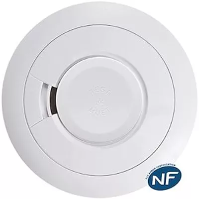 DETECTEUR DE FUMEE PILE REMPLACABLE AUTONOMIE 5 ANS