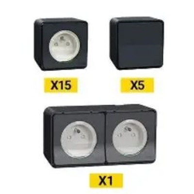 PROBOX MUREVA 5 V/V + 15 PRISES 2P+T SAILLIE = 1 MUR36028 GRATUIT