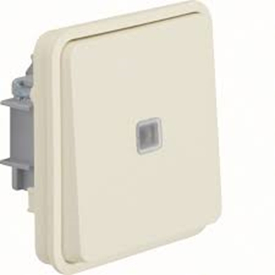 BOUTON POUSSOIR 1O/1F LUMINEUX ASSOC .BLANC