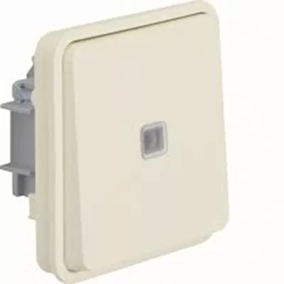 BOUTON POUSSOIR  1O/1F LUMINEUX  ASSOC .BLANC