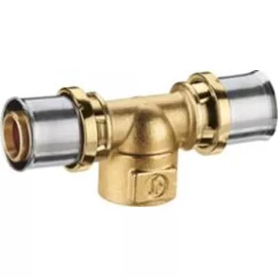 TÉ SORTIE FEMELLE  RM154