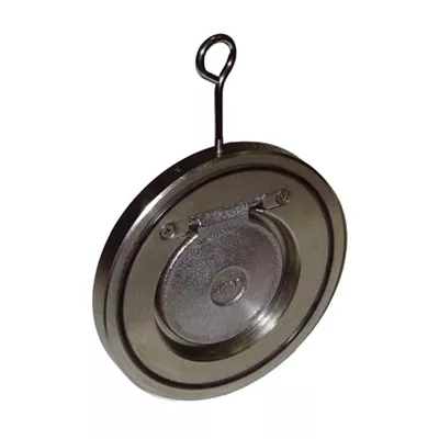 CLAPET ANTI-RETOUR À BATTANT ACIER