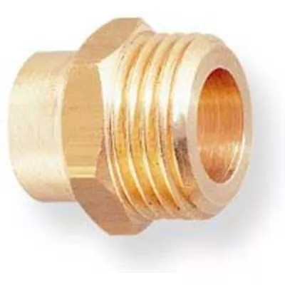 MANCHON 243 GCU MÂLE