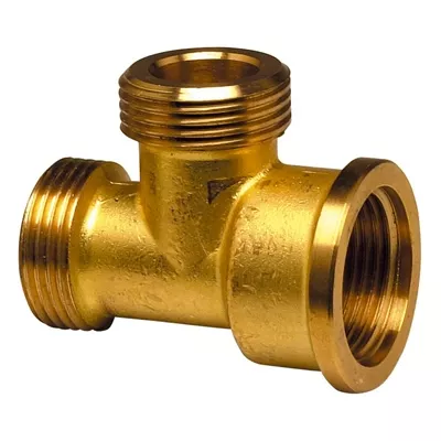 TÉ MÂLE FEMELLE / FEMELLE