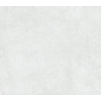 GRÈS CÉRAME DOMUS BLANCO