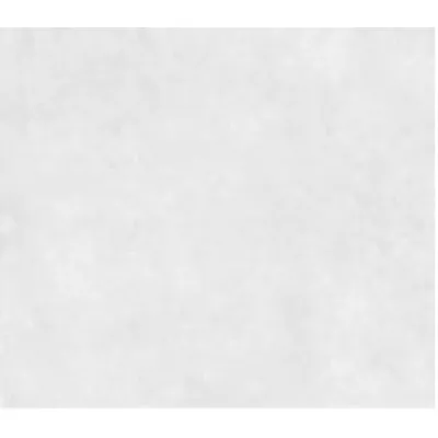 GRÈS CÉRAME DOMUS BLANCO