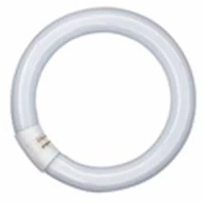 LUMILUX T9 C - CULOT G10Q