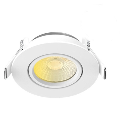 ECLAT CCT II SPOT ORIENT 60° 6W 2700/3000/4000 IP65 DIM 5ANS
